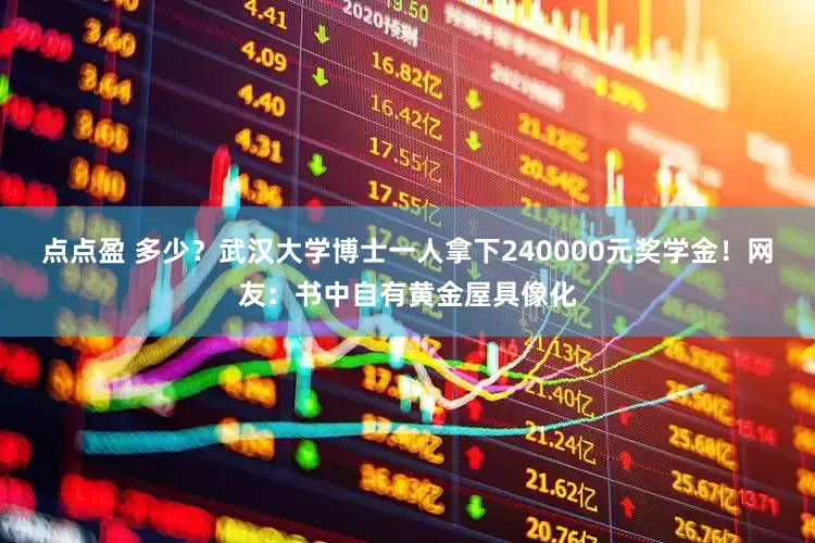 点点盈 多少？武汉大学博士一人拿下240000元奖学金！网友：书中自有黄金屋具像化