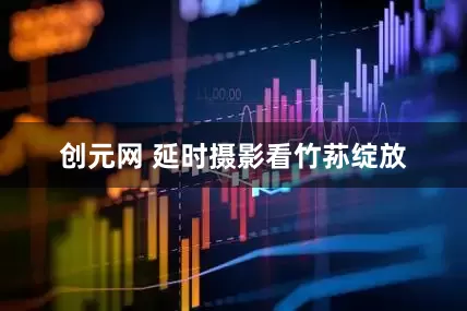 创元网 延时摄影看竹荪绽放