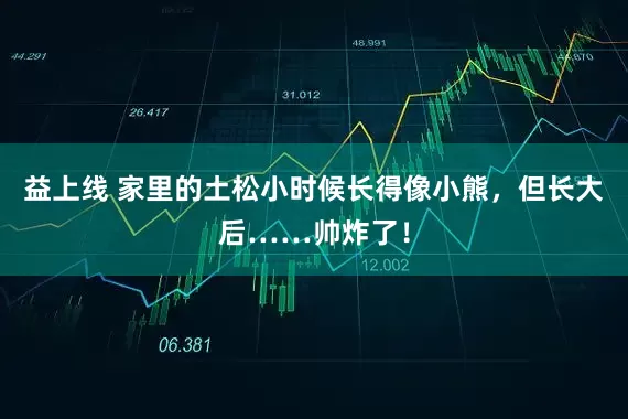 益上线 家里的土松小时候长得像小熊，但长大后……帅炸了！