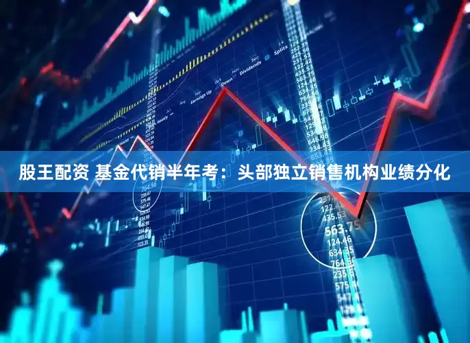 股王配资 基金代销半年考：头部独立销售机构业绩分化