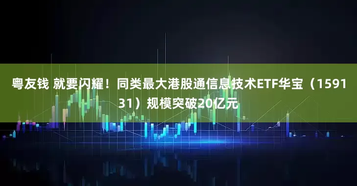 粤友钱 就要闪耀！同类最大港股通信息技术ETF华宝（159131）规模突破20亿元
